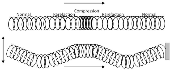 spring-constant-of-a-slinky